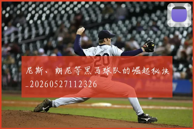 尼斯、朗尼等黑马球队的崛起秘诀_20260527112326